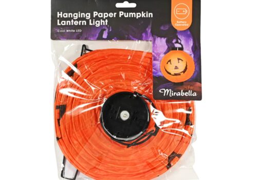 Hanging Paper Pumpkin Or Bat Lantern Light (2 Assorted Designs)