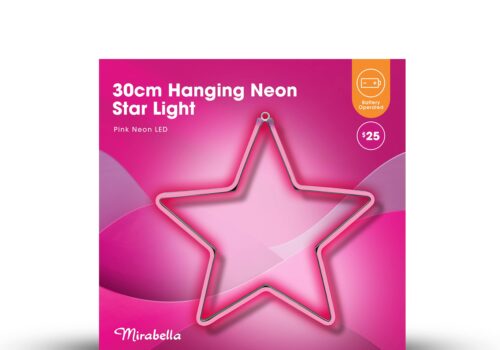Hanging Neon Star Light (2 Assorted Designs)